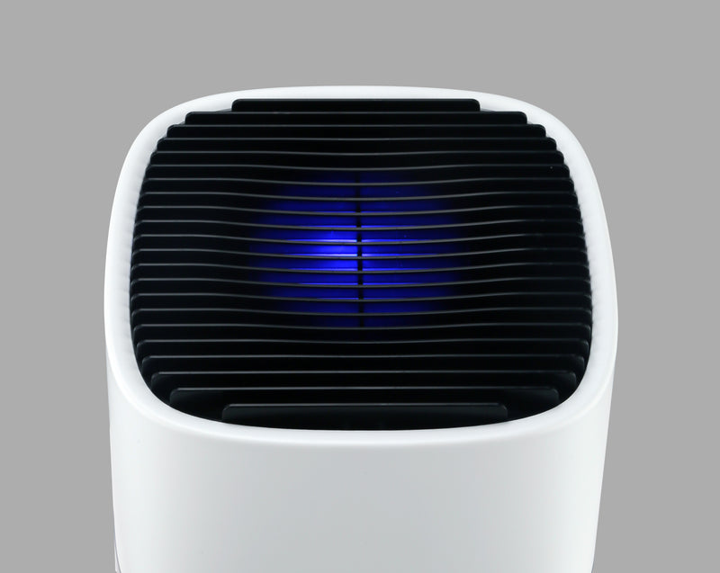 P30 Clean Compact HEPA Air Purifier™